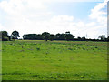 View towards Blakenhall Moss