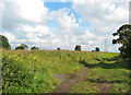 Pylons east of Blakenhall