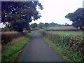 Lane near Bleach Farm