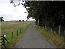 TA1563 : Farm road off the A165 by Andy Beecroft