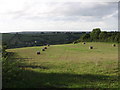 Bales in a field