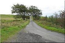 NS4754 : Minor road by Finlay Tindall