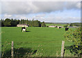 Nether Tofts Farm