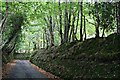 SX5559 : The Road through Hooksburry Wood by Tony Atkin