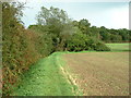 Footpath with bridge