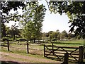 Pond on Moatfield Farm