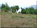 House and Old Shed