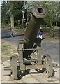 Sebastopol Cannon in South Park, Darlington