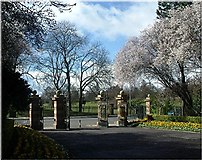 NZ2813 : South Park gates, Darlington by Stanley Howe