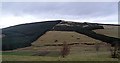 View north from Loanhead Plantation ridge (January)