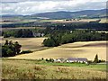 View from Finavon Hill