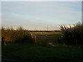 Farmland with pylons