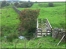 SD9241 : Footbridge on the Pendle Way by michael ely