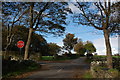 The Ballee Road near Downpatrick  (2)