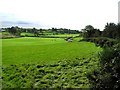 Shanmaghry Townland