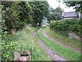 Footpath and Panda