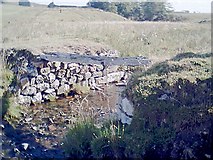 NJ4425 : Remains of bridge to Whitehillock (ruined) by Stanley Howe