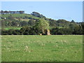 Stones at the point marked "Burial chamber"