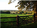 Looking across towards the River Stour