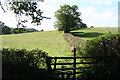 Shobrooke: public footpaths