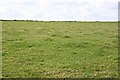 Large Pasture Field