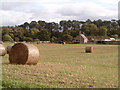 Howford (farm) and Howford Bridge