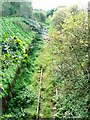 Disused Railway, Beard