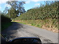 Country lane near Glan Ystwyth