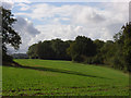 Farmland and wood, Eastridge House