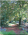 Leafy path at St Mary