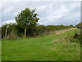 Footpath to Potterspury