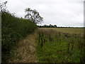 Field margin north of Little Hill Farm