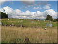 Kinalty Haughs Farm, near Glamis