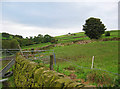 Farmland on the edge of the National Park