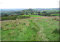 Gritstone Trail descending Brink hill