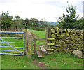 Stile on the Gritstone Trail