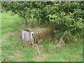 Disused cattle trough