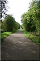 Upgraded Disused Railway Track