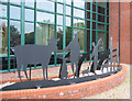 Sculpture at Nantwich Veterinary Hospital