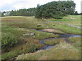 Poniel Water at the track to Coalburn