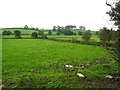 Drummond Townland