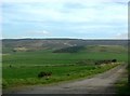 View towards Hill of Fare from B993 at Hillhead