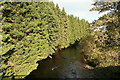 Autumn colours looking downstream on the Don from Bridge of Newe.