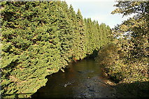 NJ3712 : Autumn colours looking downstream on the Don from Bridge of Newe. by Des Colhoun