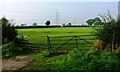 Gate, Field and Pylons; Off Mill Gate