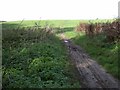 Footpath across the Heath