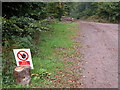 Logging in Pwllplythin Wood