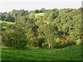 The upper Cromwell valley, Southowram