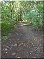 Stone setts on bridleway near site of Far Binns, Southowram