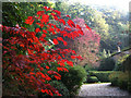 Endon Hall, Kerridge, Cheshire